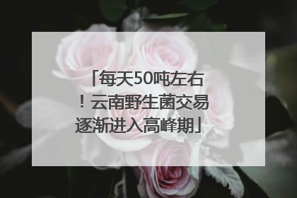 每天50吨左右！云南野生菌交易逐渐进入高峰期